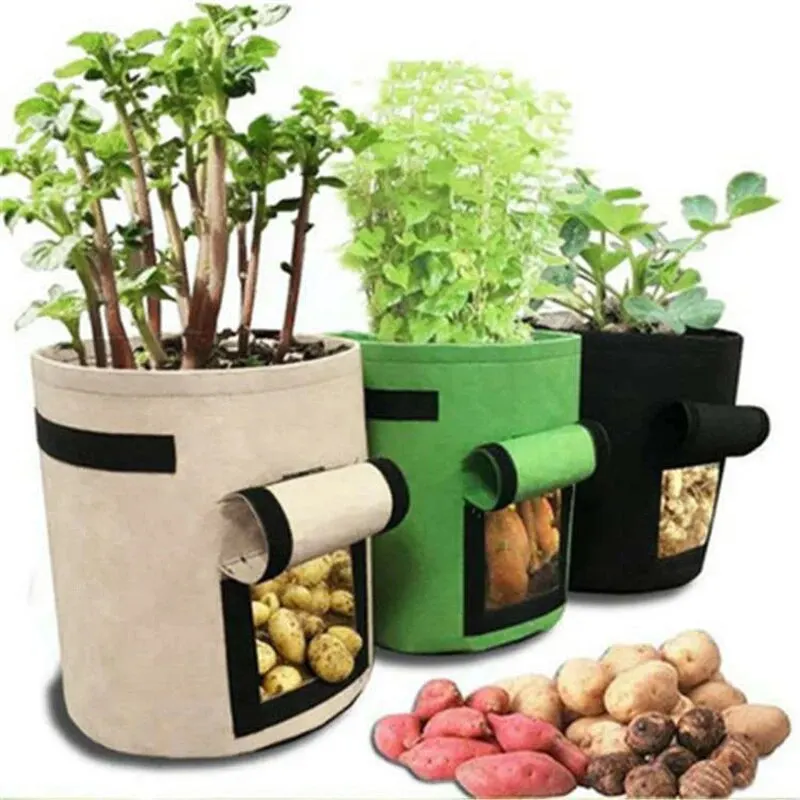 Tuti Potato Planting Bag